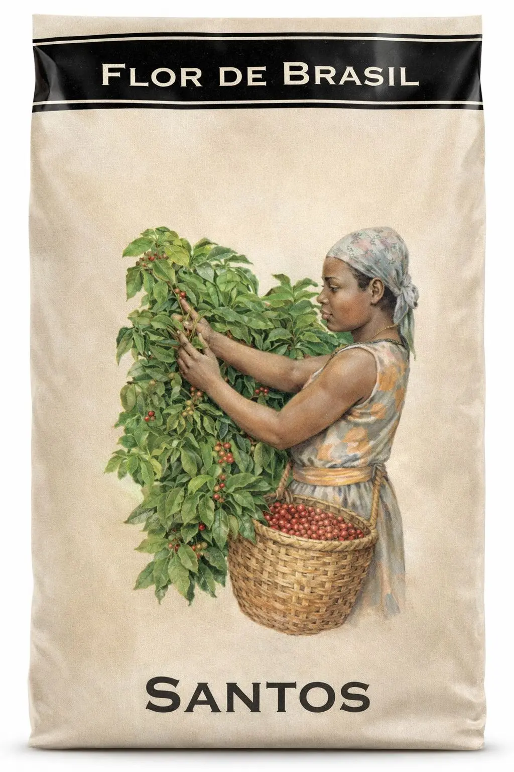 Café Flor de Brasil Santos